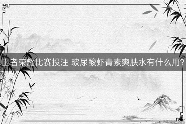 王者荣耀比赛投注 玻尿酸虾青素爽肤水有什么用？