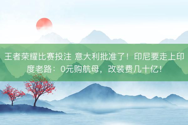 王者荣耀比赛投注 意大利批准了！印尼要走上印度老路：0元购航母，改装费几十亿！