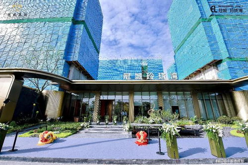 循迹世界 造极成都 冠城 玲珑湾艺术会馆盛大启幕