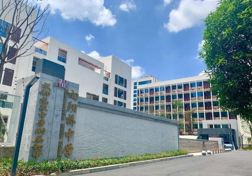 成都龙泉向阳桥中学 立足生本教育教学课堂 促进学校五育高质融合