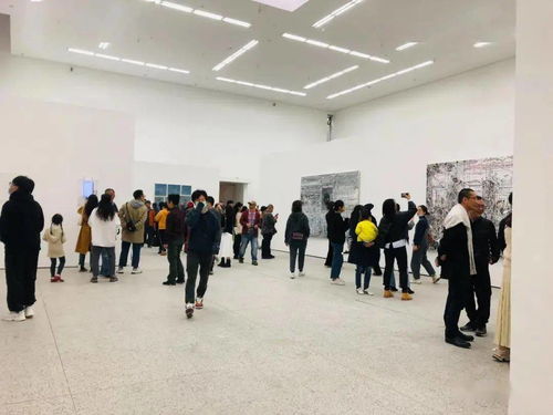 成都蓝顶美术馆以 真实与理想 湖北当代艺术2020 展开川鄂交流