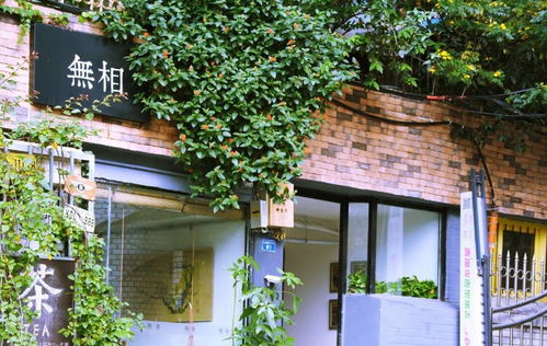 你单曲循环100遍,却没去过一次的成都