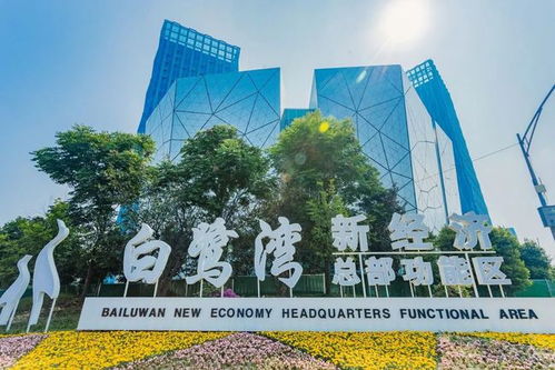 盘活闲置厂区，老旧工业园焕新文旅创新天地——成都戈多艺术学校的转型之路