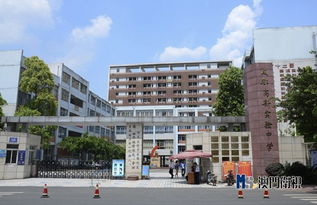 成都高新实验中学展成果 学生科创艺术作品显风采