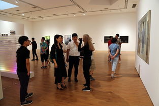 城墙之外 古都现代文明之花再现巴蜀——西安当代艺术巡展在成都戈多艺术学校