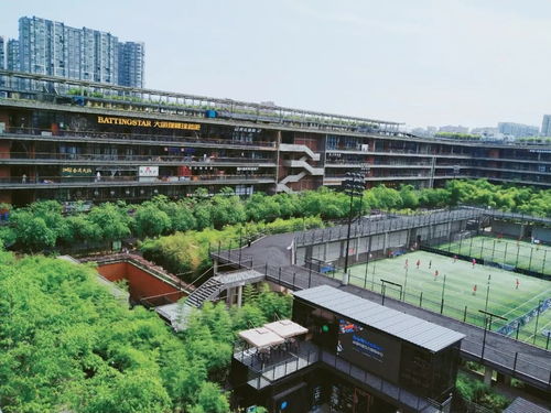 在成都，你与文艺只有一个西村的距离——探访戈多艺术学校