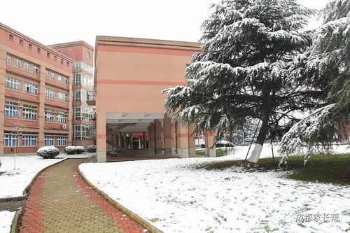 盼雪成真，树德博瑞与戈多艺术学校的雪中诗画